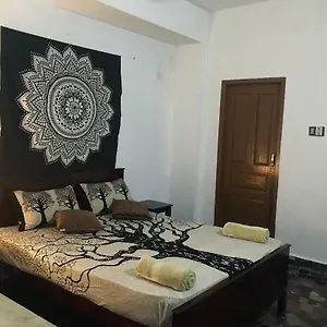 Guest house Zen House, Kovalam
